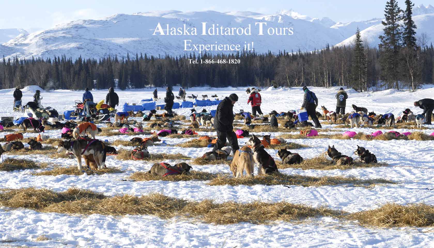 Mushers on the trail